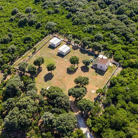Magical Mobile Homes In The Heart Of Nature - Vala Romana