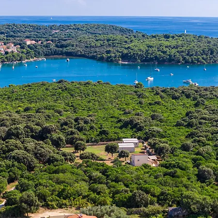 Magical Mobile Homes In The Heart Of Nature - Vala Romana *